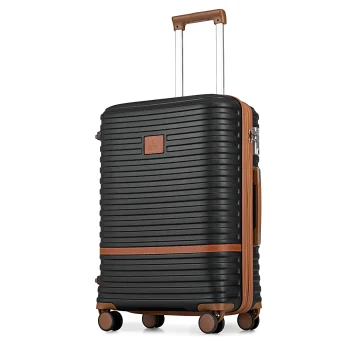 Carry On Luggage 20 Inch Expandable Suitcase with Spinner Wheel