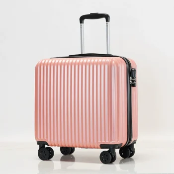 Y1384Personalized customized luggage